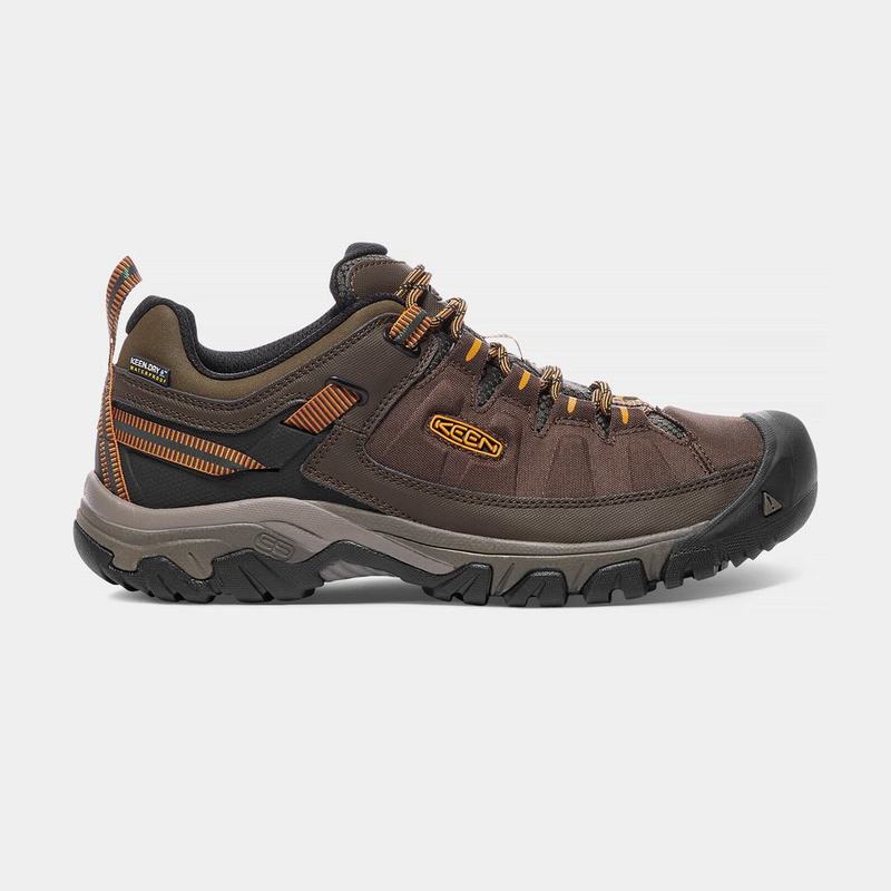 Keen Targhee Exp Waterproof Mens Hiking Shoes Brown NZ (2670-UKDXH)